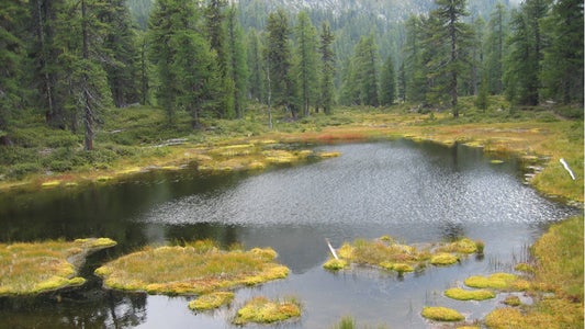 Habitat dei corpi d’acqua e delle sorgenti