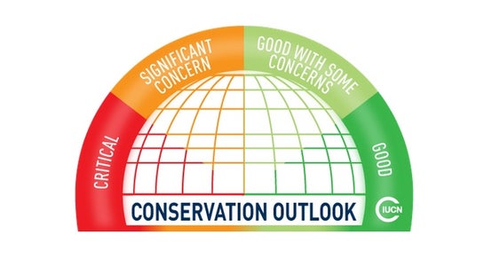Berichte und Monitoring auf internationaler Ebene