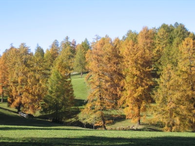 Landschaftsschutzgebiete