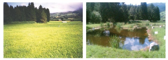 Bauen und Landschaftliche Eingriffe