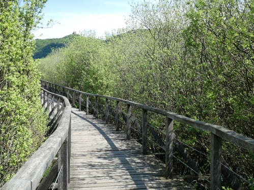 Naturerlebnisweg Kalterer See (Archiv Amt für Natur, Foto Edith Bucher, 2022)