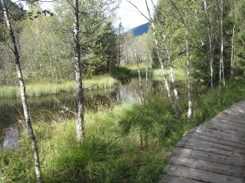 Naturerlebnisweg Rasner Möser (Archiv Amt für Natur, Foto Konrad Stockner, 2009)
