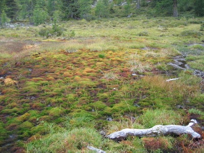 Lebensräume in Biotopen