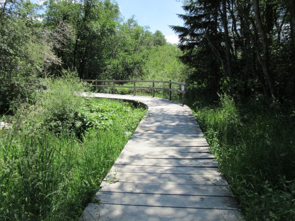 Biotop Haidersee, Graun im Vinschgau (Archiv Amt für Natur, Foto Giulia Ligazzolo, 2017)