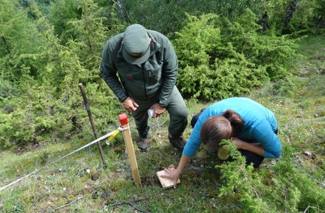 [external Link]: Wissenschaftliche Forschung im Nationalpark Stilfserjoch