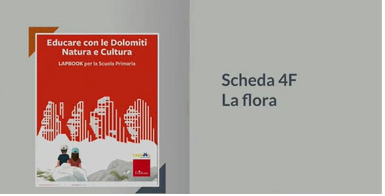 [external Link]: La flora