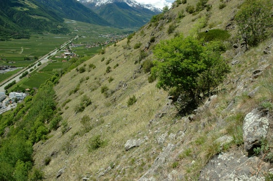 Prato arido nel biotopo Sonnenberg, Naturno (Archivio Ufficio Natura, Foto Leo Unterholzner, 2005)