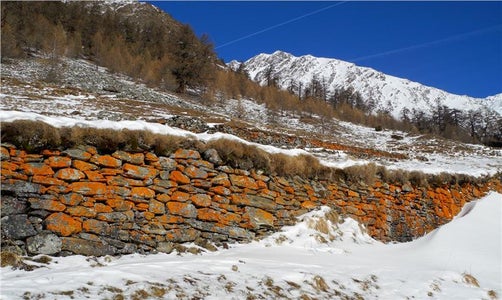 Arte della costruzione in pietra a secco