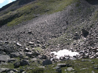 Habitat caratterizzati da roccia o ghiaia