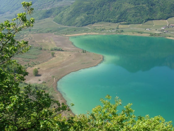 Ampia fascia di canneto nel biotopo e sito Natura 2000 Lago di Caldaro (Archivio Ufficio Natura, Foto Martin Mair, 2015)