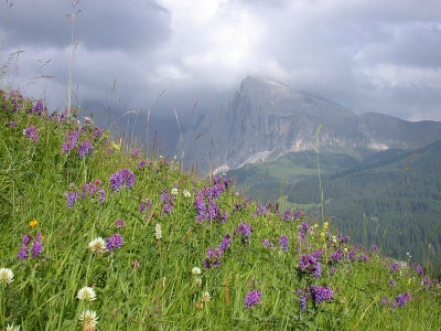 Contributi, agevolazioni e incentivi