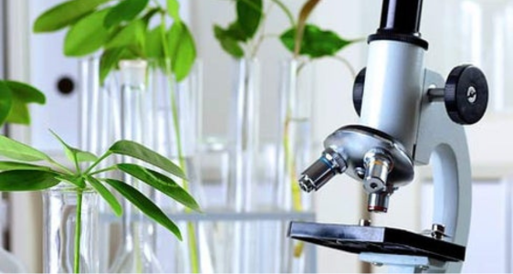 [external Link]: Mathematik (Naturwissenschaften)