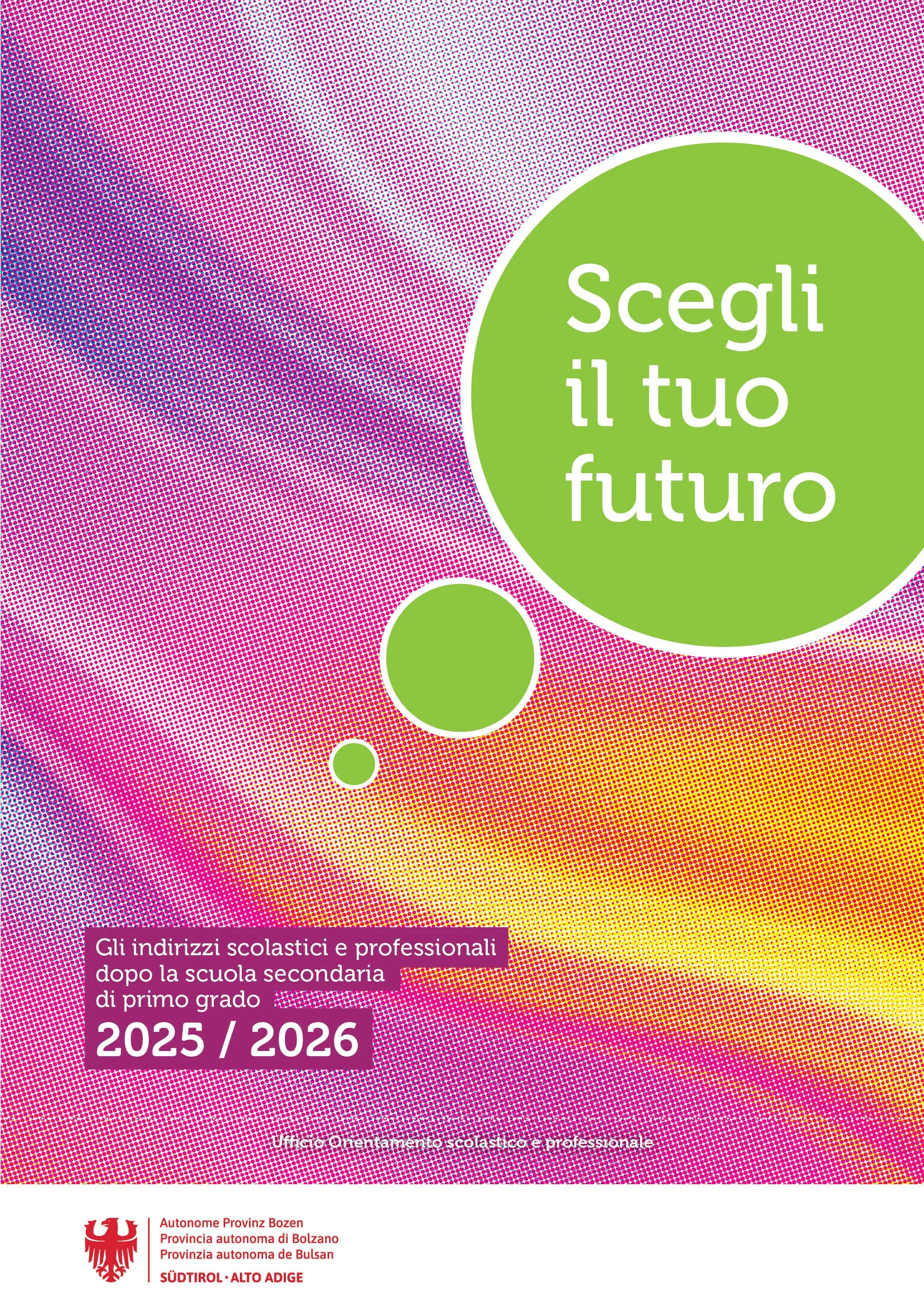 Scegli il tuo futuro - indirizzi scolastici e professionali dopo la scuola secondaria di primo grado 2025/2026