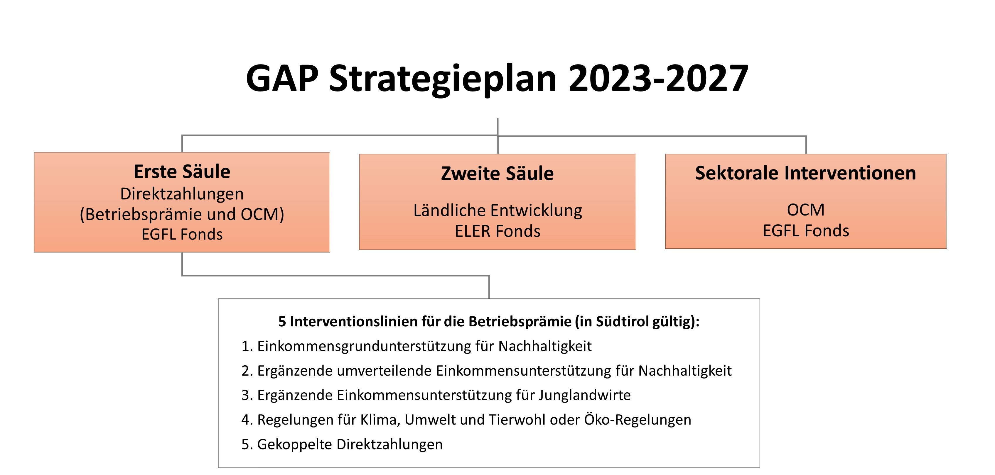Schematische Darstellung der Säulen des GAP-Strategieplans 2023-2027 mit Schwerpunkt Betriebsprämie