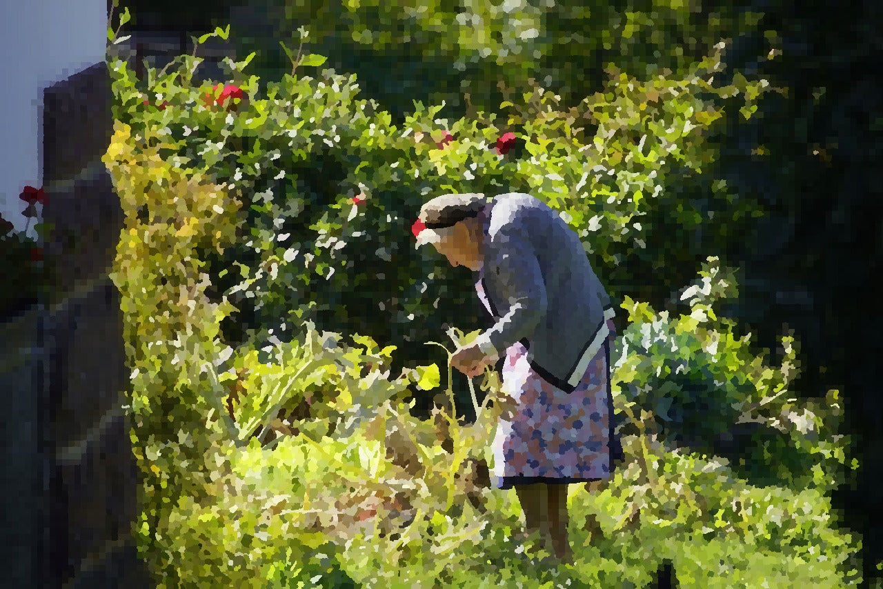 Contadina al lavoro