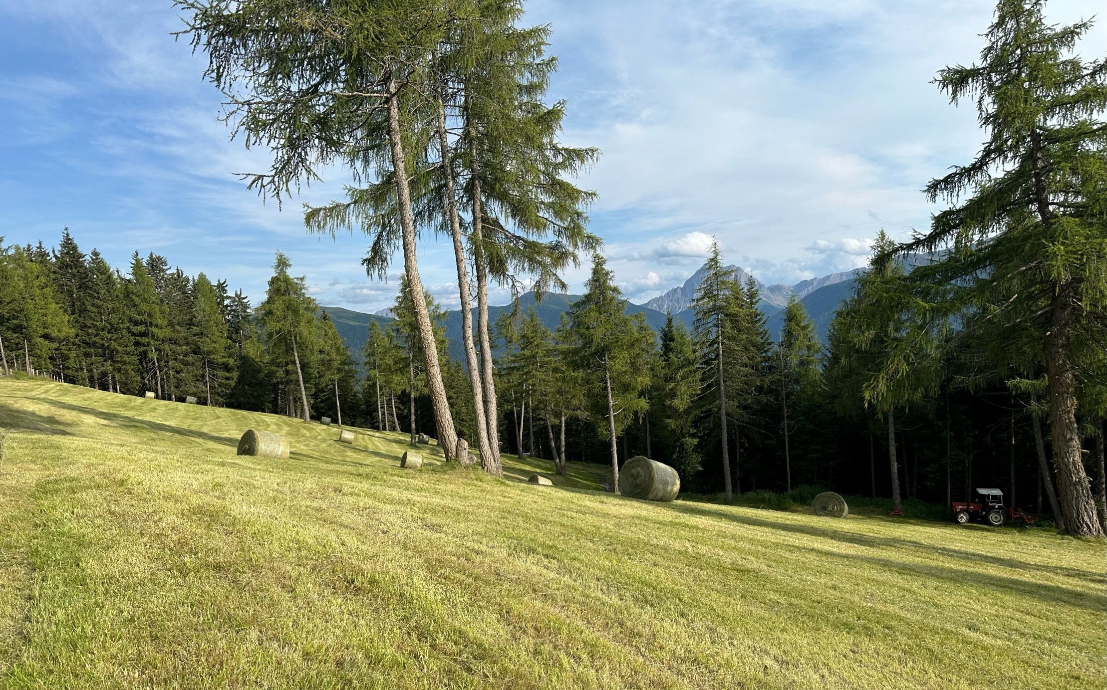 Konditionalität (EGFL und ELER)