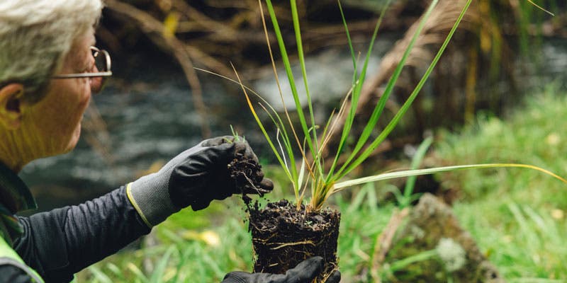 dentsu one day for change