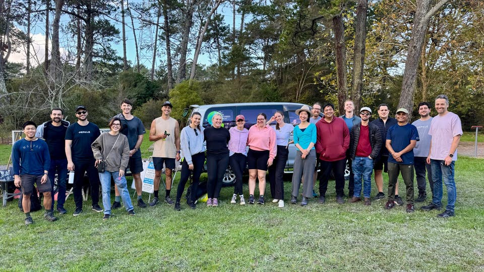 dentsu Aotearoa One Day FOr Change