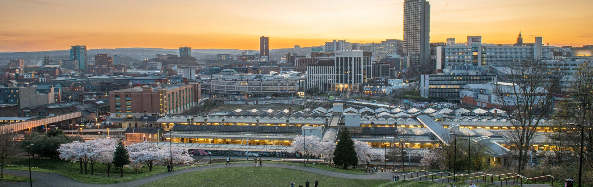 sheffield-cityscape-from-south-street-park-5-credit-doug-banks.png