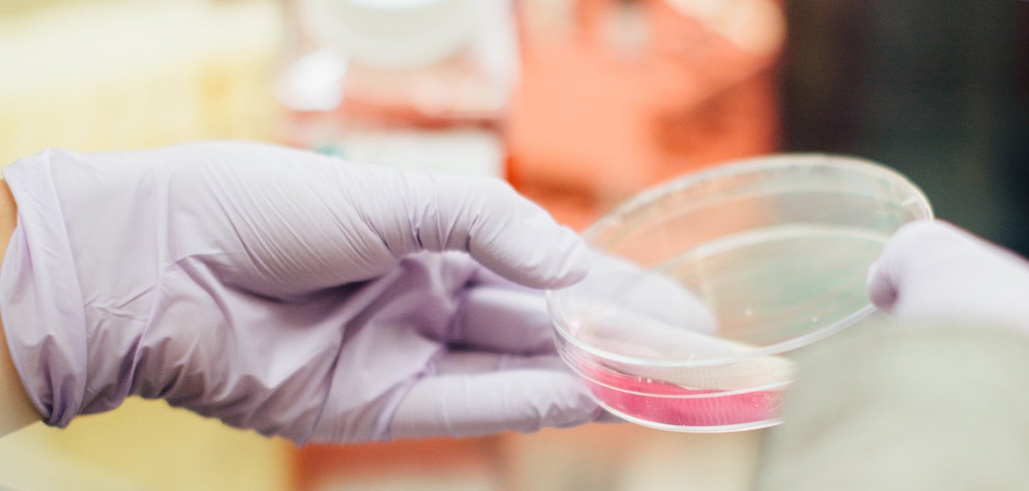 Supporting image showing petri dish in a lab