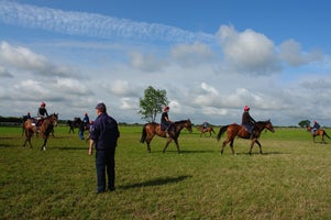 Racing Tours Ireland slide 1