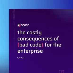 Image for The Costly Consequences of Bad Code for the Enterprise