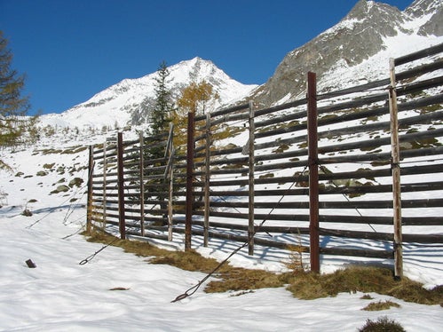 Danni a rastrelliera, Predoi