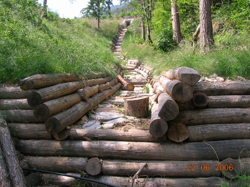 Rio Tagliapietra, Tesimo