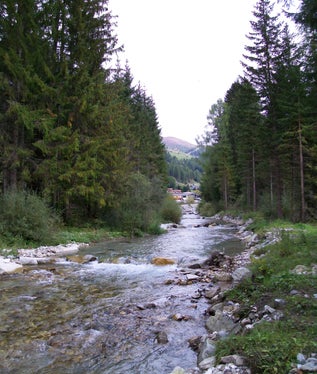 Rio di Sesto, Sesto