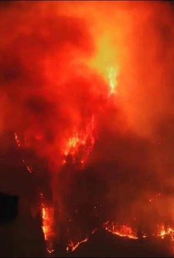 Marling, 2024 (Foto: LFV/Landesfeuerwehrverband)