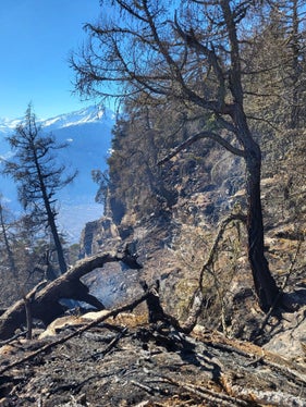 Monte Sole, Laces, 2025 (Foto: USP/Unione Provinciale dei Corpi dei Vigili del Fuoco Volontari)