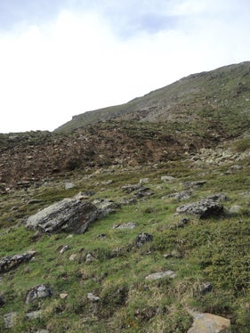 Rotationsrutschung bei der Upialm, Gemeinde Mals,2019