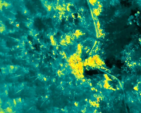 Prato allo Stelvio, 2025 (Foto: USP/Unione Provinciale dei Corpi dei Vigili del Fuoco Volontari)