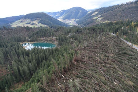 Kataster der Waldschäden