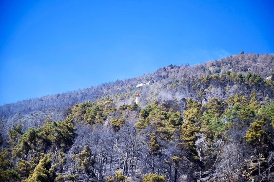 Sonnenberg, 2025 (Foto: LFV/Landesfeuerwehrverband)