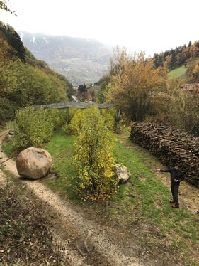 Stein- und Blockschlag im Fineletal, Gemeinde Kuens, 2019