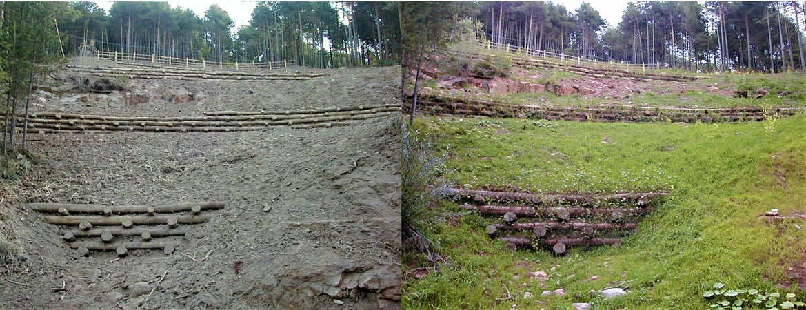 Consolidamento versante nel Comune di San Genesio
