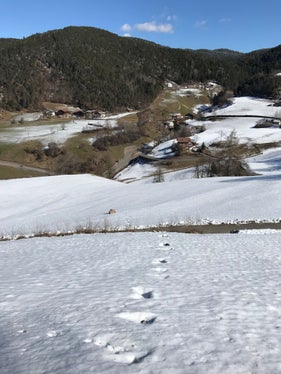 Blockschlag bei Tisens, Gemeinde Kastelruth, 2019
