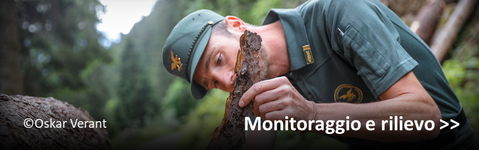 Attività di monitoraggio e rilievo