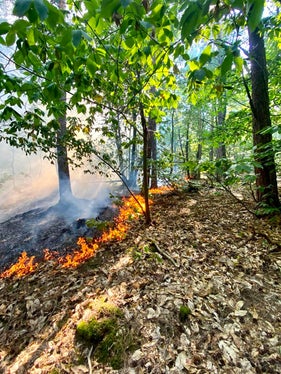 Montiggl, Gemeinde Eppan, 2022 (Foto: LFV/Landesfeuerwehrverband)