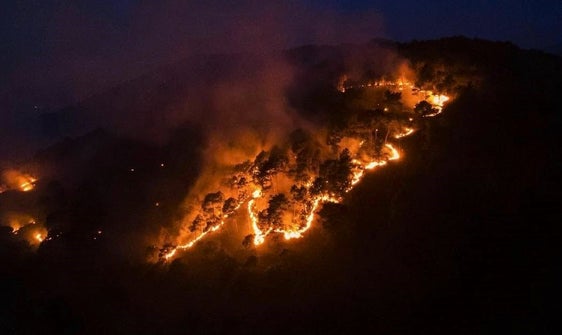 Sonnenberg, 2025 (Foto: LFV/Landesfeuerwehrverband)