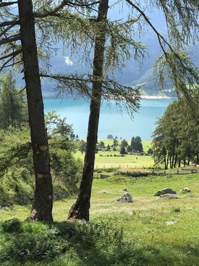 Stumme Zeugen vergangener Stein- und Blockschlagereignisse sowie Impaktmarken an den Bäumen, Gemeinde Graun im Vinschgau