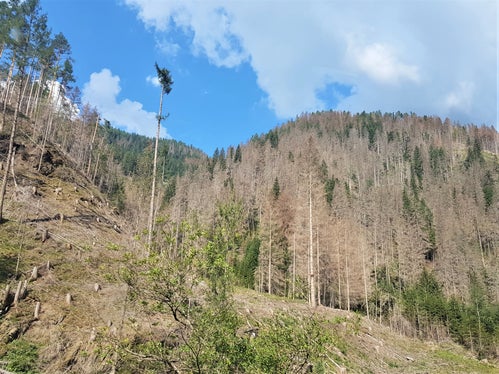 Gadertal, St. Martin, 2022