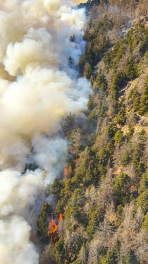 Sonnenberg, 2025 (Foto: LFV/Landesfeuerwehrverband)