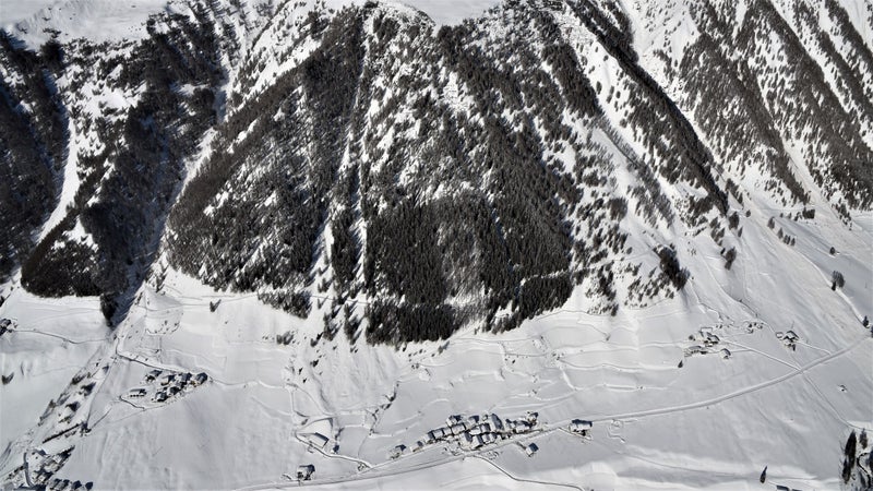 Bosco di protezione nel Comune di Curon Venosta