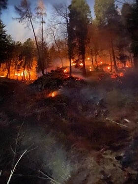 Marling, 2024 (Foto: LFV/Landesfeuerwehrverband)