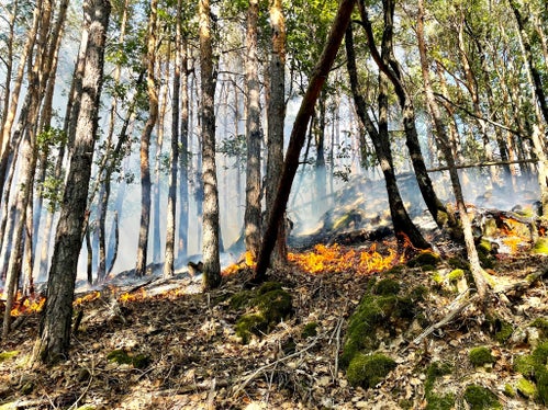 Monticolo, Comune di Appiano, 2022 (Foto: USP/Unione Provinciale dei Corpi dei Vigili del Fuoco Volontari)