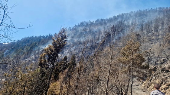 Prad am Stilfserjoch, 2025 (Foto: LFV/Landesfeuerwehrverband)