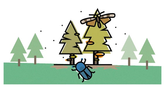 Biotische Gefahren für den Wald