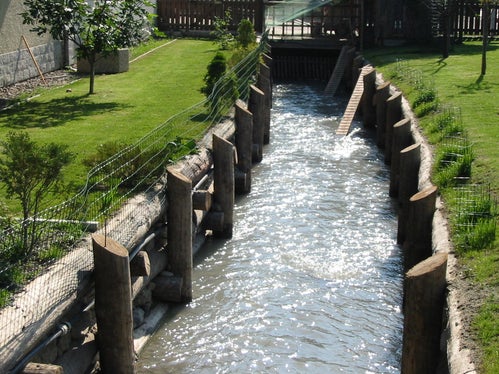 Rio della Sega, Naturno